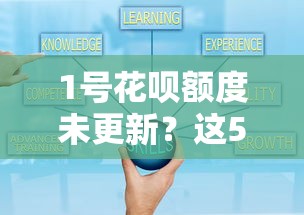 1号花呗额度未更新？这5个原因和解决办法你要知道！