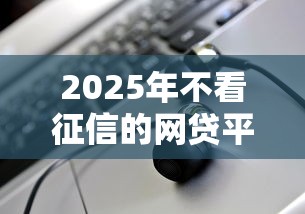 2025年不看征信的网贷平台及风险解析
