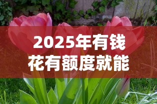 2025年有钱花有额度就能借吗？这些关键点必须了解