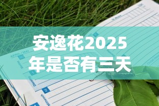 安逸花2025年是否有三天宽限期？最新政策深度解读