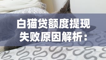 白猫贷额度提现失败原因解析：你需要满足哪些条件？