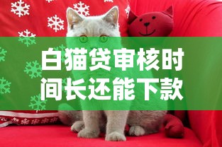 京东白条能用微信零钱还款吗？真实还款方式与理财建议