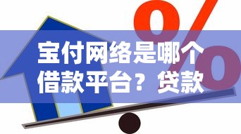 宝付网络是哪个借款平台？贷款理财用户必看解析