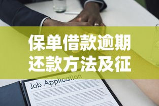 不看征信大额网贷平台：罗列五个黑户口子秒下的