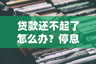 贷款还不起了怎么办？停息还本真的可行吗