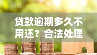 中国互联网贷款平台：发展现状与风险防范指南