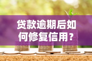 贷款逾期后如何修复信用？5个实用方法助你重回正轨