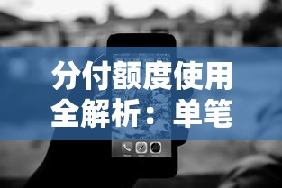 分付额度使用全解析：单笔最高能付多少钱？