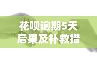 花呗逾期5天后果及补救措施全解析