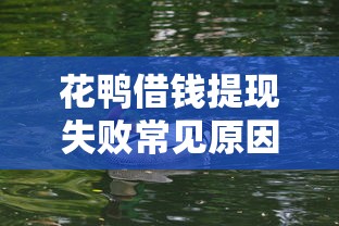 花鸭借钱提现失败常见原因及解决方法