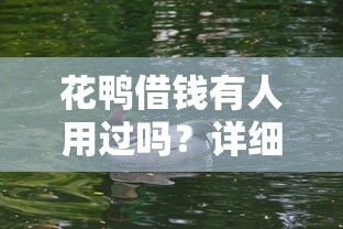 花鸭借钱有人用过吗？详细评测安全性和使用体验