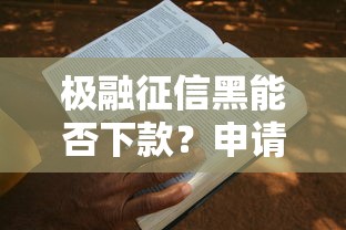 极融征信黑能否下款？申请条件与真实通过案例解析
