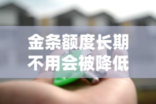 金条额度长期不用会被降低吗?贷款用户必看的5个关键点 金条额度长期不用会被降低吗?贷款用户必看的5个关键点