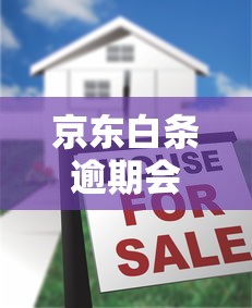 京东白条逾期会有人上门催收吗？真实情况解析