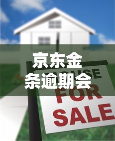 京东金条逾期会有人上门吗？真实情况解析