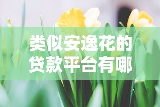 类似安逸花的贷款平台有哪些？10个靠谱推荐攻略