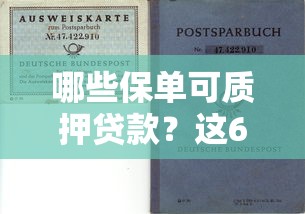 哪些保单可质押贷款？这6类保单帮你快速解决资金需求