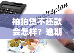 拍拍贷不还款会怎样？逾期后果及应对指南