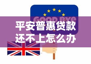 平安普惠贷款还不上怎么办？5个实用解决方案帮你化解危机