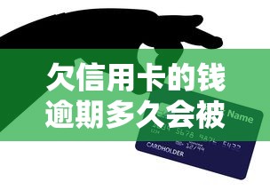 欠信用卡的钱逾期多久会被起诉？全面解析逾期风险与应对策略