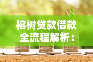 榕树贷款借款全流程解析：如何快速申请到账？