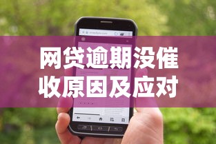 网贷逾期没催收原因及应对方法全解析