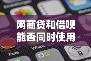 网商贷和借呗能否同时使用？区别与选择全解析
