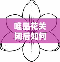 唯品花关闭后如何重新开通？5个步骤修复信用快速恢复额度