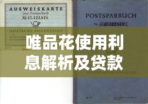 唯品花使用利息解析及贷款理财避坑指南