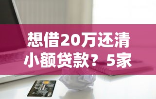想借20万还清小额贷款？5家可尝试的大额借款渠道解析