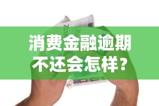 消费金融逾期不还会怎样？上征信影响贷款理财吗