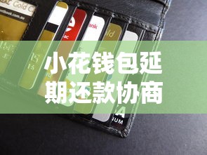 小花钱包延期还款协商指南：贷款用户必看攻略