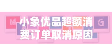 小象优品超额消费订单取消原因及应对指南