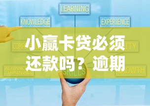 小赢卡贷必须还款吗？逾期后果及应对策略解析