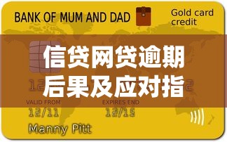 信贷网贷逾期后果及应对指南
