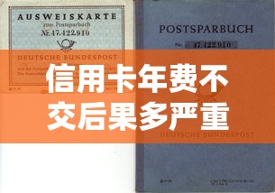 信用卡年费不交后果多严重？贷款理财达人教你避坑