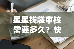 星星钱袋审核需要多久？快速到账与贷款理财全解析