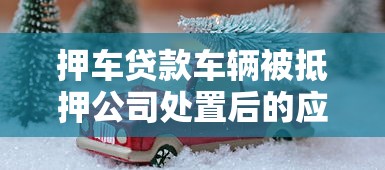 押车贷款车辆被抵押公司处置后的应对指南