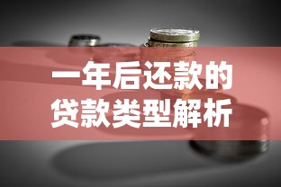 一年后还款的贷款类型解析及理财规划指南