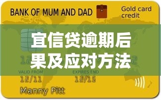 宜信贷逾期后果及应对方法全解析