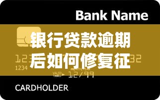 银行贷款逾期后如何修复征信？5个实用步骤教你重建信用