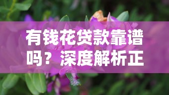 有钱花贷款靠谱吗？深度解析正规平台贷款理财的5大优势
