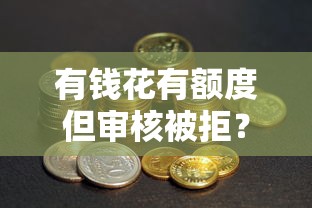 有钱花有额度但审核被拒？五大原因及解决技巧解析