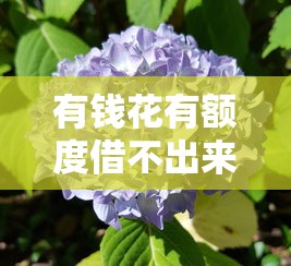 有钱花有额度借不出来？7个真实原因+解决方案