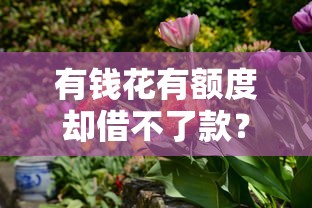 有钱花有额度却借不了款？5个原因和解决办法全解析
