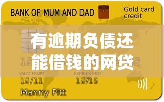 有逾期负债还能借钱的网贷平台推荐及申请技巧