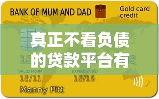 真正不看负债的贷款平台有哪些？2023年最新推荐指南