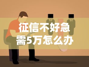 征信不好急需5万怎么办？5种真实贷款方案及避坑指南