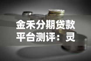 金禾分期贷款平台测评：灵活分期与低息理财的平衡点