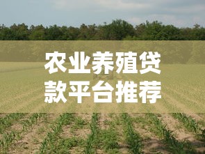 农业养殖贷款平台推荐及申请全攻略 农业养殖贷款平台推荐及申请全攻略